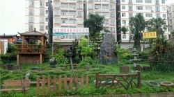 聚焦南寧園林景觀建設(shè) 如何甄選專(zhuān)業(yè)正規(guī)的假山施工公司